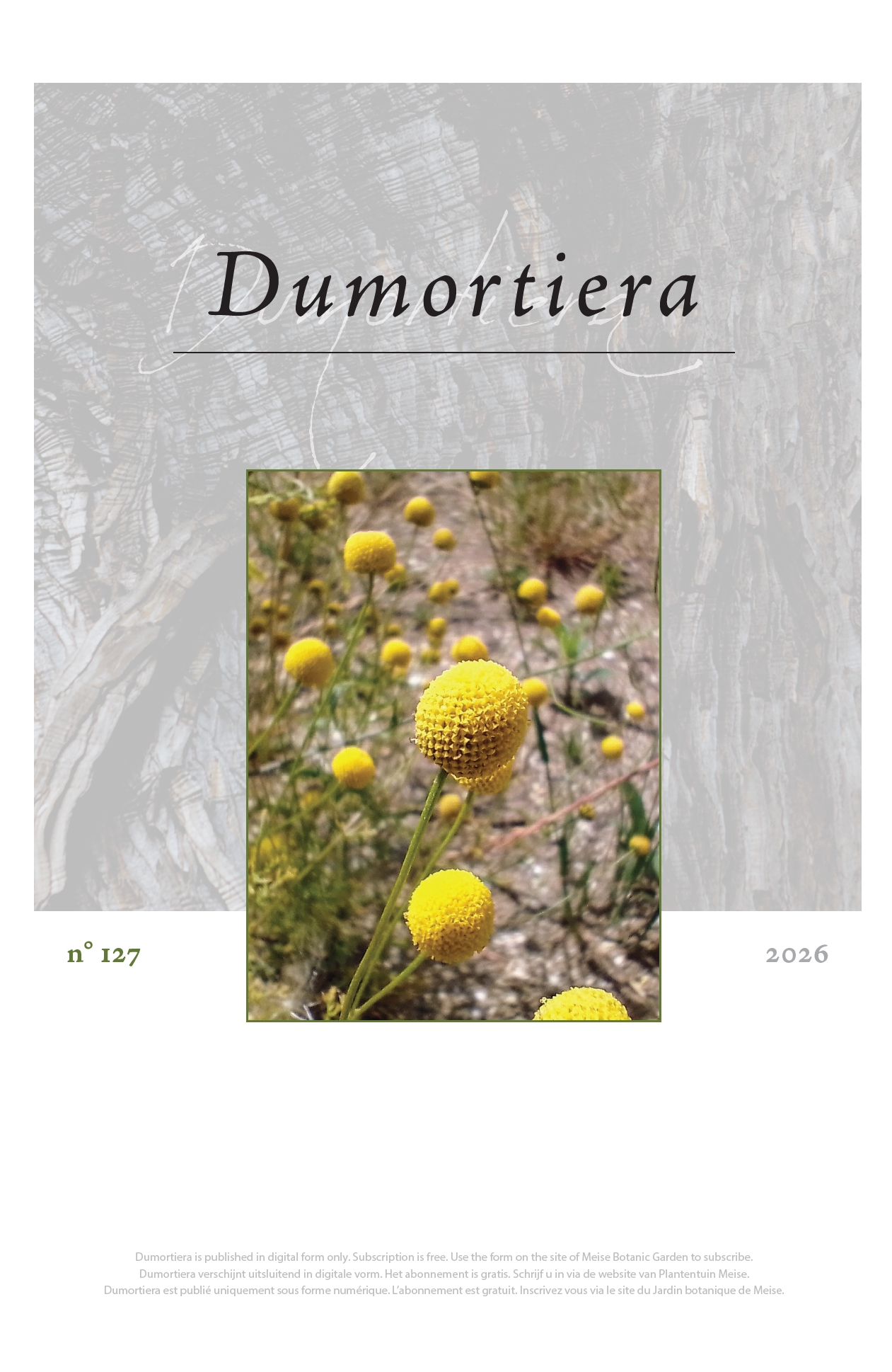 Dumortiera 127