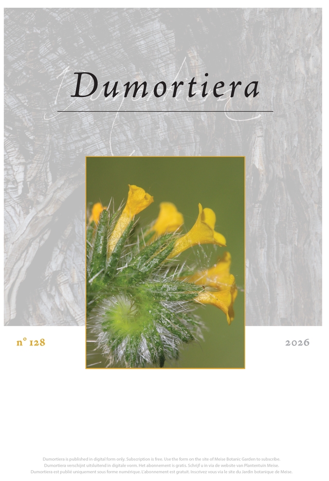 Dumortiera 128
